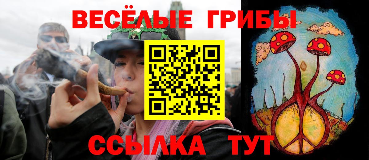 Галлюциногенные грибы GOLDEN TEACHER Бердск